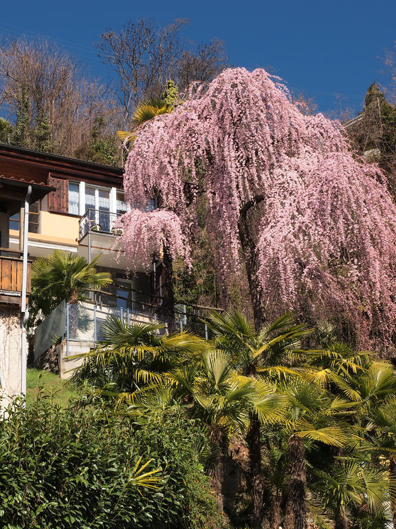 Casa Sibylle Bei Locarno Apartment Bagian luar foto